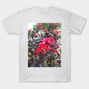 Crepe Myrtle T-Shirt